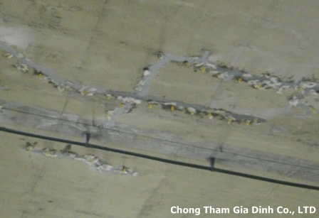 chong-tham-khe-nut-len-tuong-8