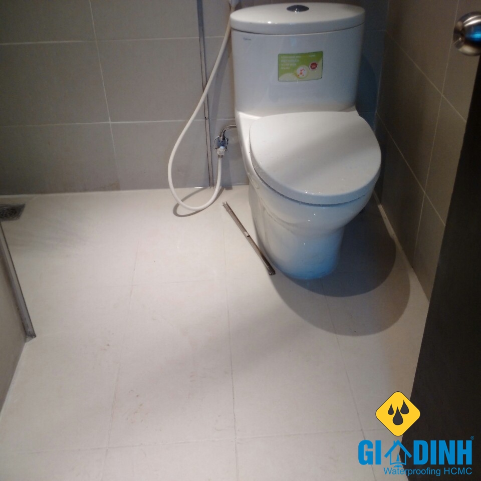 chống thấm nhà vệ sinh