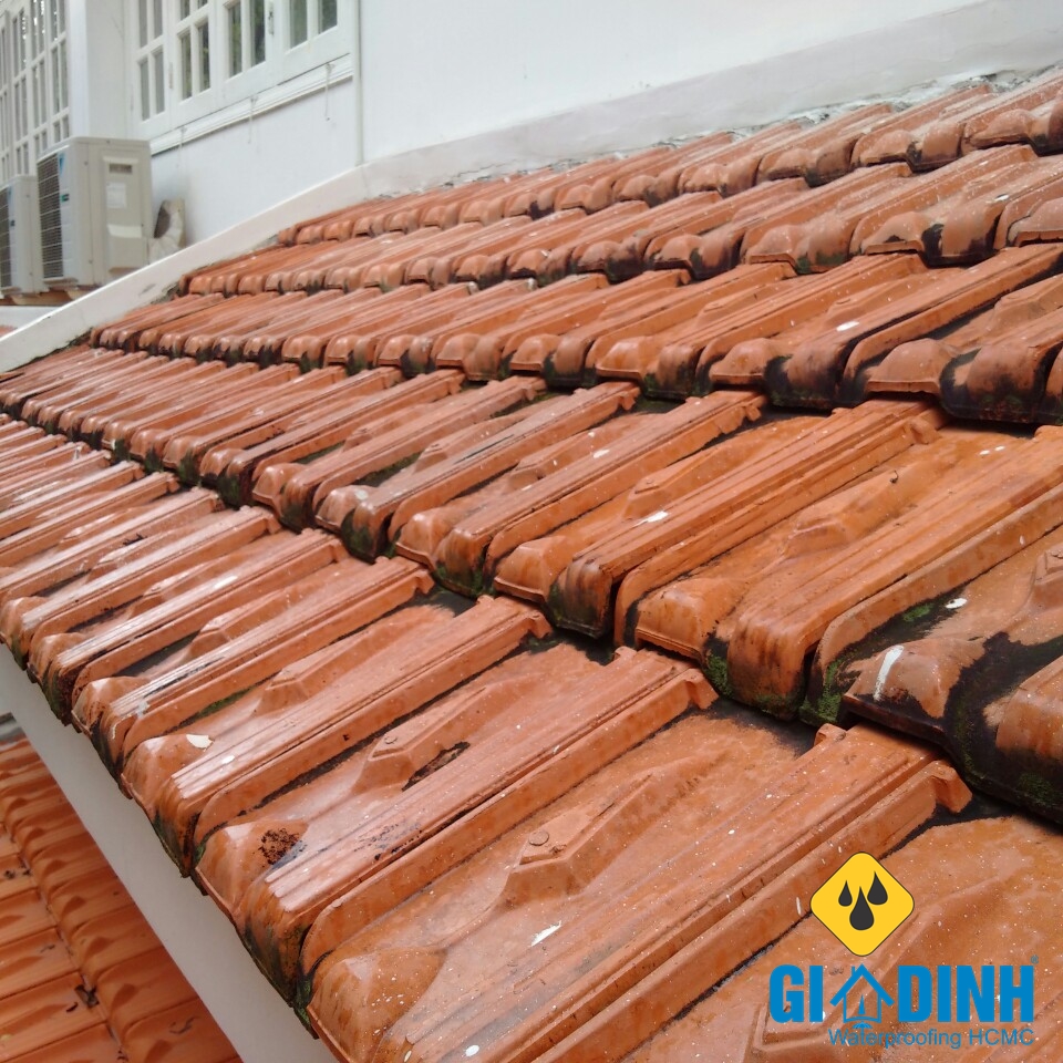 Mái ngói bị thấm nước