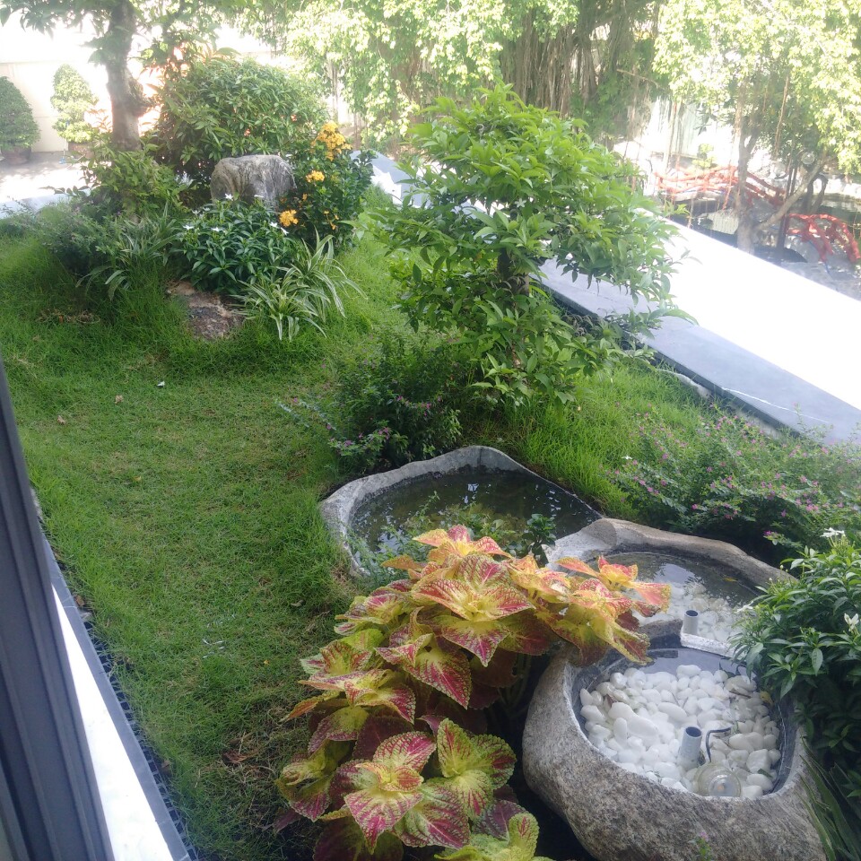 Chống thấm tiểu cảnh